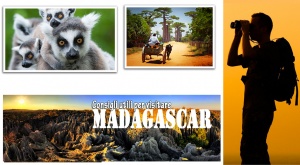 Consigli per visitare il Madagascar